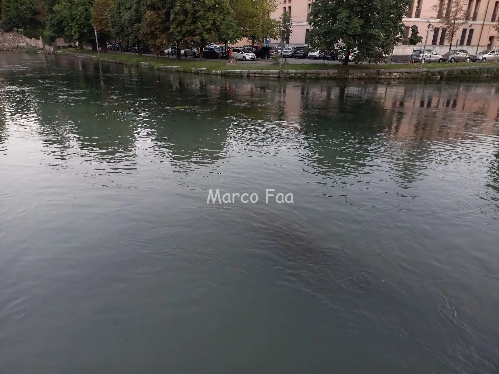 Sfida impossibile e profezia celeste: ponte Dante sull’incrocio di 2 fiumi